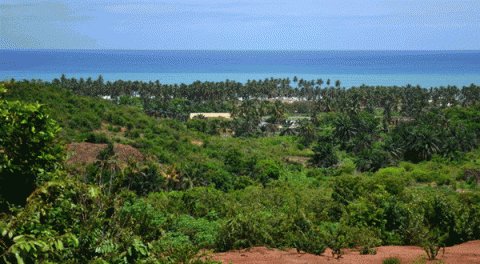 Picture of the landscape of the proposed site of AIMS-Ghana in Saltpond