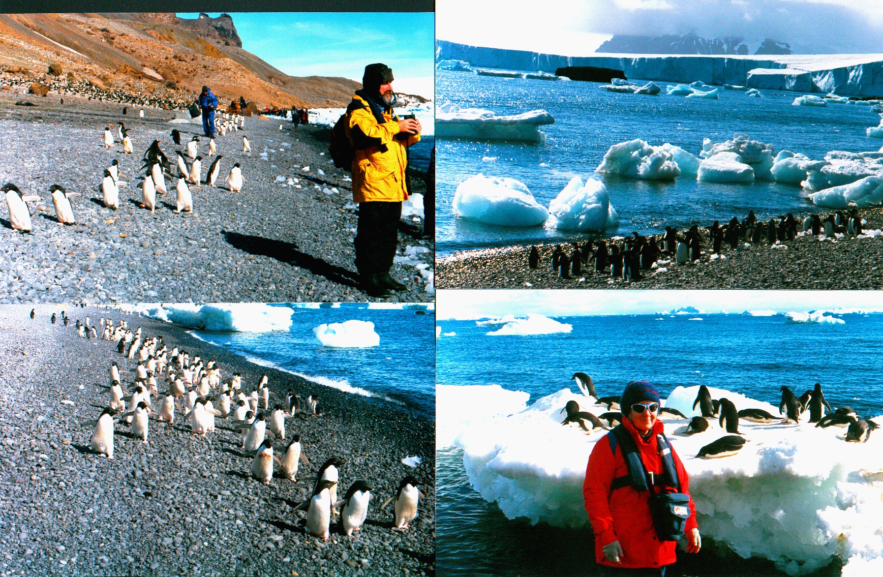 collage of pictures of Mike Cannell and Judith DesBrisay in Antartica