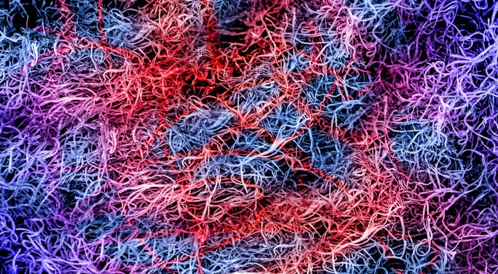 Blue, red, purple and pink strings laying overtop of one another