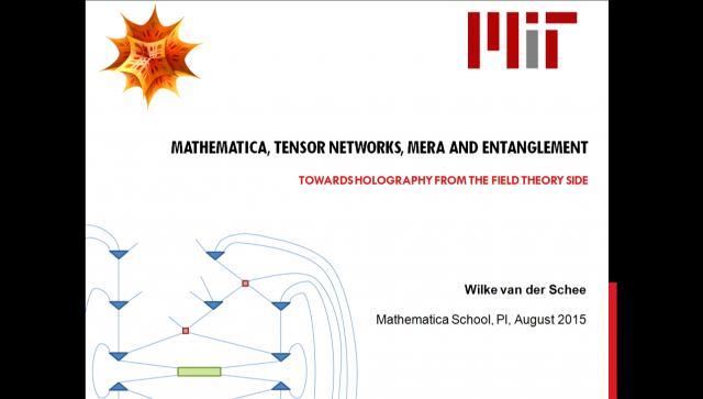 Mathematica School Lecture - 2015 Speaker(s): Wilke van der Schee