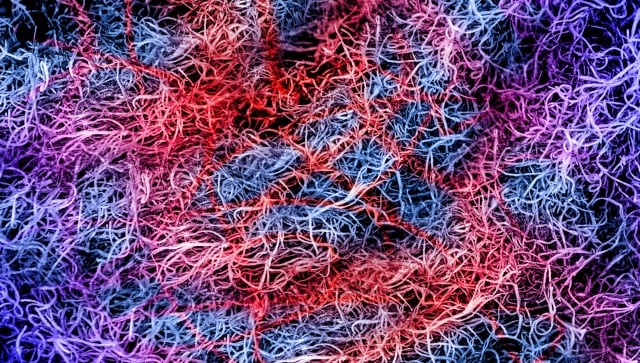 Blue, red, purple and pink strings laying overtop of one another