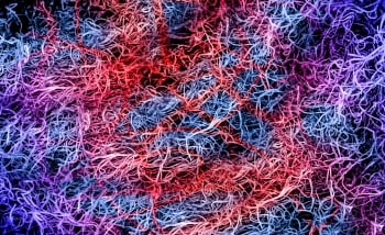 Blue, red, purple and pink strings laying overtop of one another