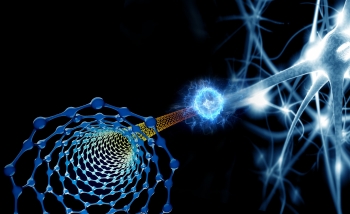 Nanos and neurons