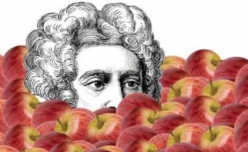 Head in bed of apples